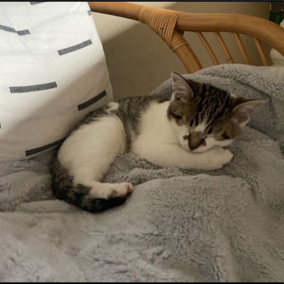 2 items = 30% off ๐ฅ - Picture 8 of 10